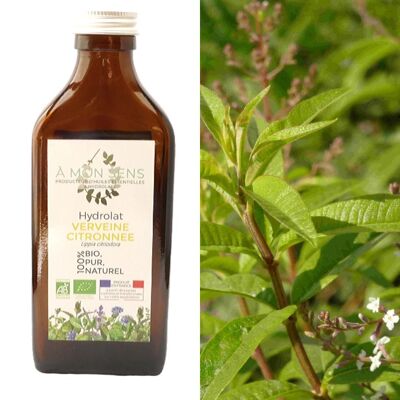 Organic lemon verbena hydrosol from Burgundy