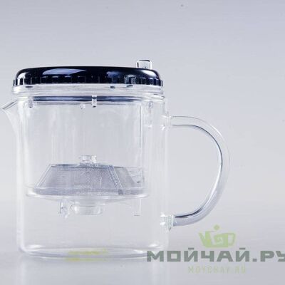 Convenient Gong Fu Teapot - 300 ml # 14, plastic/glass