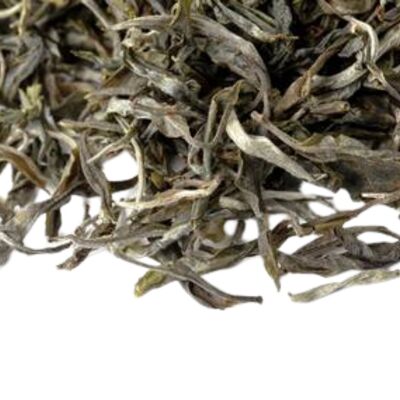 Fengqing Dashu Shaiqing Sheng Cha (Sheng Puer from the Big Tea Trees of Fengqing County)