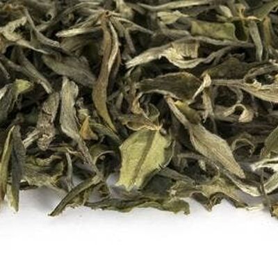 Gaba White Tea from the alpine gardens of Yongde County