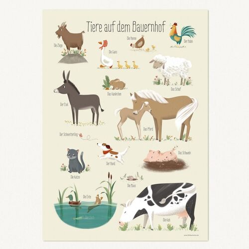 Tiere auf dem Bauernhof, Poster - DIN A3