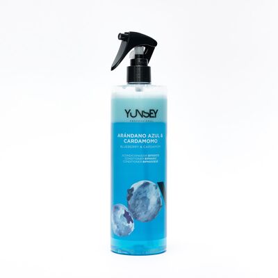 BI-PHASE-SPRAY HEIDELBEERE 500 ML