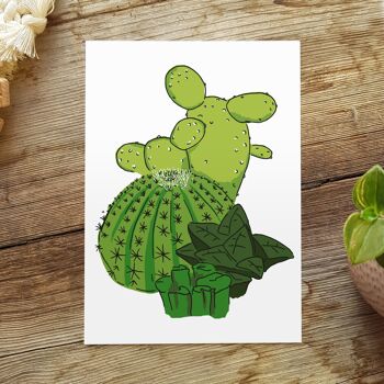 cactus cartes postales | cactus de carte 1
