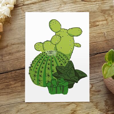 cactus cartes postales | cactus de carte