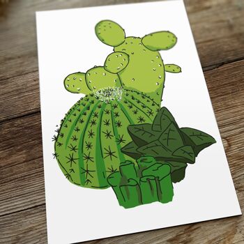 cactus cartes postales | cactus de carte 3