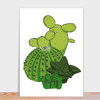 cactus cartes postales | cactus de carte 5