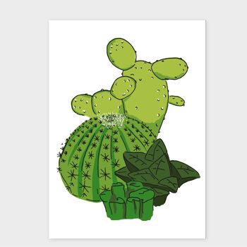 cactus cartes postales | cactus de carte 6