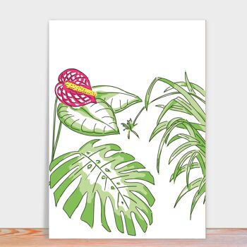 Carte Postale Monstère | plantes à cartes 5