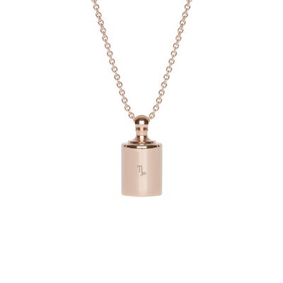 Necklace Mon Petit Poids Rose gold plated - "Astro sign"-Capricorn
