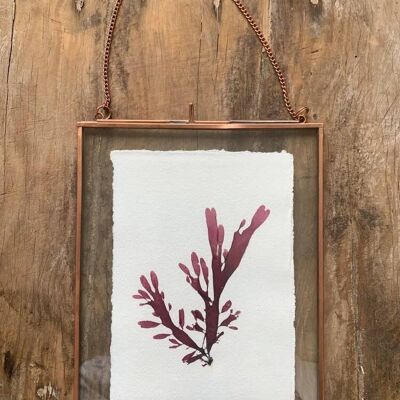 Hand Pressed Seaweed in Copper Frame B
