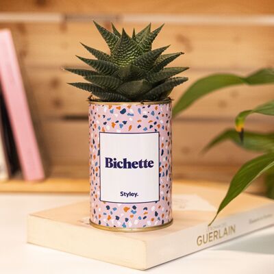 Cactus et Plante grasse - Bichette - Cadeau de Saint Valentin
