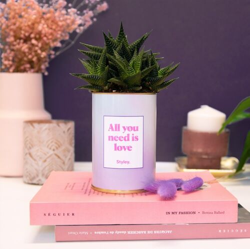 Cactus - All you need is love - cadeau de Saint Valentin
