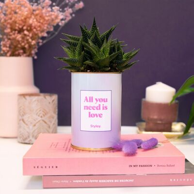 Cactus - Tutto ciò di cui hai bisogno è amore - Regalo di San Valentino