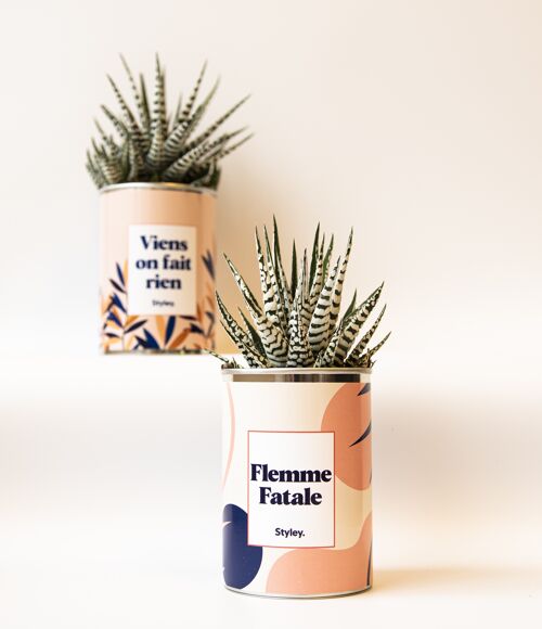 Cactus - Flemme fatale