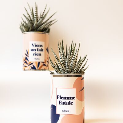 Cactus - Flemme fatale