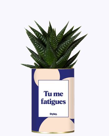 Cactus - Tu me fatigues