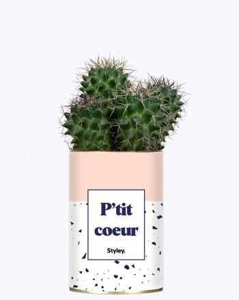 Cactus - P'tit coeur 2