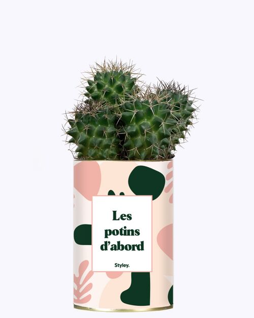 Cactus - Les potins d'abord