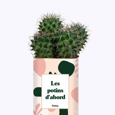 Cactus - Gossip First