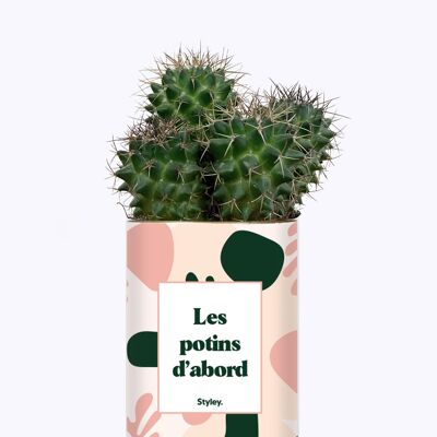 Cactus - Les potins d'abord