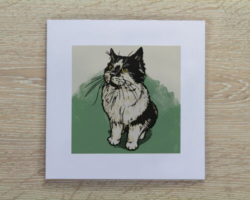 Black & White Cat Greetings Card - Arthur (IC-Arthur-Cat)