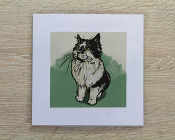 Carte de Voeux Chat Noir & Blanc - Arthur (IC-Arthur-Cat) 1