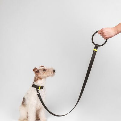 Dog leash, ring leash, city leash - black