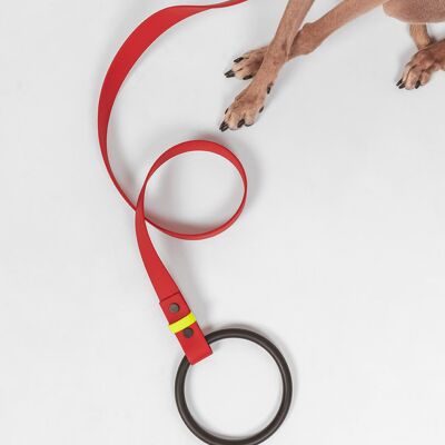 Dog leash, ring leash, city leash - red
