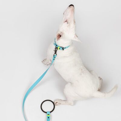 Dog leash, ring leash, city leash - aqua