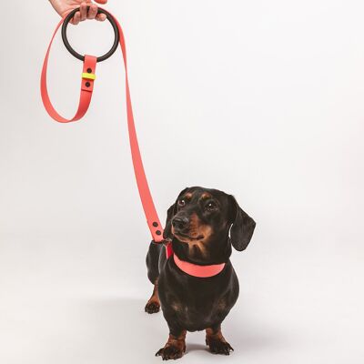 Dog leash, ring leash, city leash - coral