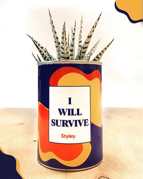 Cactus - I will survive