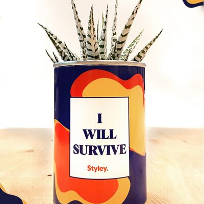 Cactus - sobreviviré