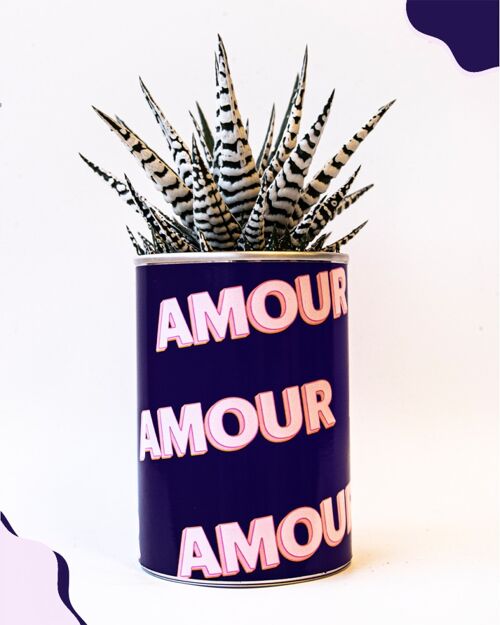 Cactus - Amour Amour - cadeau de Saint Valentin