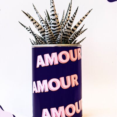 Cactus - Amour Amour - cadeau de Saint Valentin