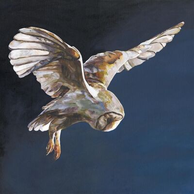 The Barn Owl - Heavy matte paper 230gsm 30x30cm