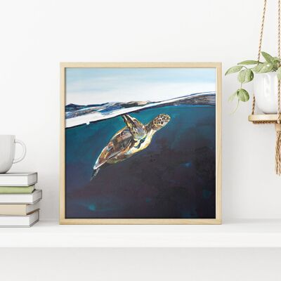 The Turtle - Velvet fine art 260gsm 60x60cm