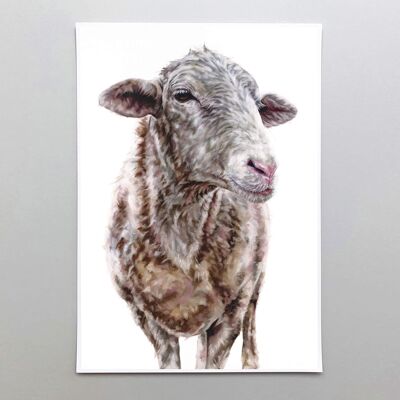The Sheep - Velvet fine art 260gsm A4