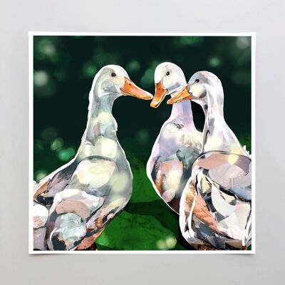 The Ducks - Velvet fine art 260gsm 30x30cm