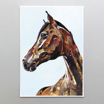 The Horse - Velvet fine art 260gsm A4