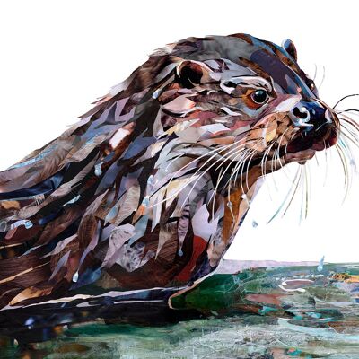 The Otter - Velvet fine art 260gsm A3