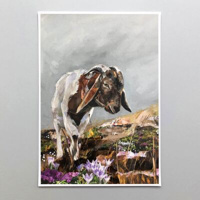 The Goat - Velvet fine art 260gsmhoto paper 260gsm A2