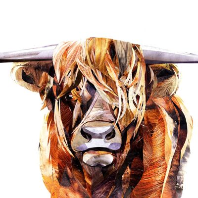 The Highland Cow - Velvet fine art 260gsm A4