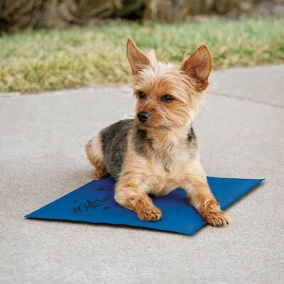 Cool Bed III (size S) - Refreshing mat for dogs