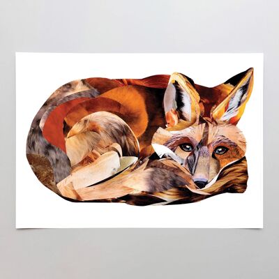 The Fox - Velvet fine art 260gsm A4