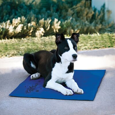 Cool Bed III (size M) - Refreshing mat for dogs