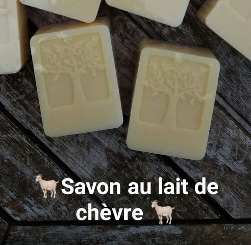 Savon au lait de chèvre BIO