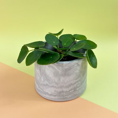 Plant pot • FES • White Marble