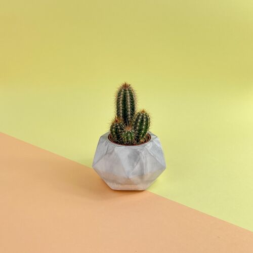 Small Plant Pot • HEXAGONAL XS • White Marble