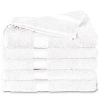 Blanc - 50x100 - Lot de 2 serviettes en coton -Twentse Damask 3