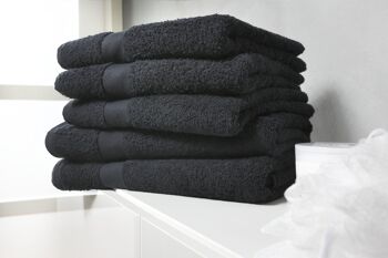 Noir - 50x100 - Lot de 2 serviettes en coton -Twentse Damask 4
